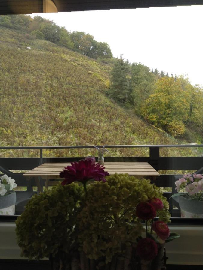 Talblick II Lägenhet Cochem Exteriör bild